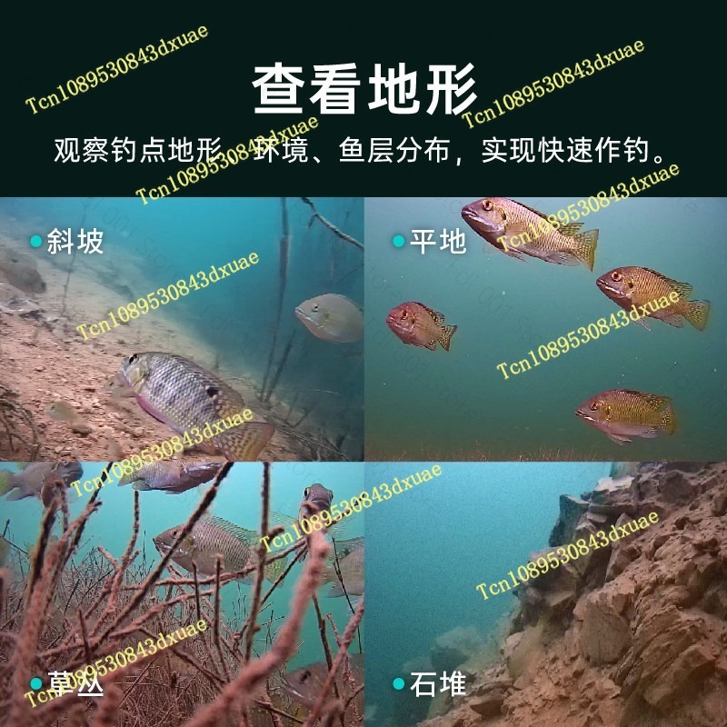 200M Gladius Minis Underwater  - đánh giá và giá Underwater Fishing Camera